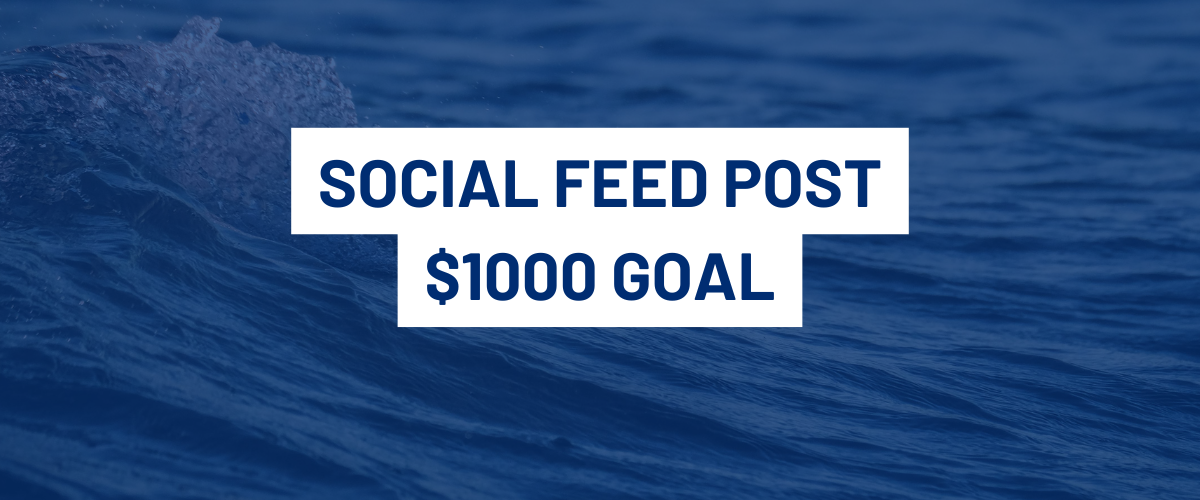 $1000 Goal Post | TCPC